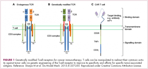 Figure 1 immunotherapies and heme malignancies - genetically modified T-cell receptors for cancer immunotherapy
